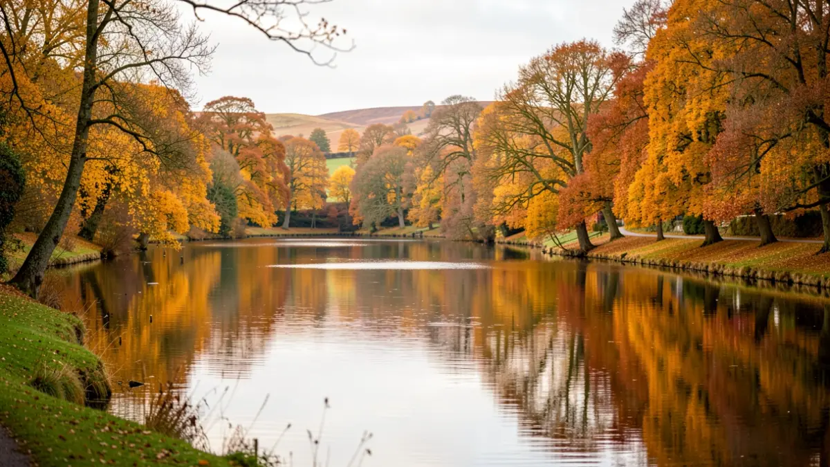 Generic image of a tranquil lake surrounded by autumn trees, with a walking path.